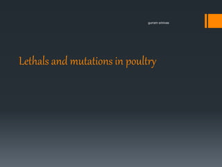 Lethals and mutations in poultry
gurram srinivas
 