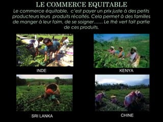 LE COMMERCE EQUITABLE
Le commerce équitable, c’est payer un prix juste à des petits
producteurs leurs produits récoltés. Cela permet à des familles
de manger à leur faim, de se soigner…… Le thé vert fait partie
de ces produits.
INDE KENYA
CHINESRI LANKA
 