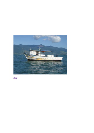 Boat
 