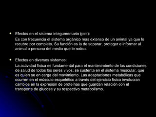 Efectos en el sistema integumentario (piel): Es con frecuencia el sistema orgánico mas extenso de un animal ya que lo recubre por completo. Su función es la de separar, proteger e informar al animal o persona del medio que le rodea. Efectos en diversos sistemas: La actividad física es fundamental para el mantenimiento de las condiciones de salud de todos los seres vivos; se sustenta en el sistema muscular, que es quien se en carga del movimiento. Las adaptaciones metabólicas que ocurren en el músculo esquelético a través del ejercicio físico involucran cambios en la expresión de proteínas que guardan relación con el transporte de glucosa y su respectivo metabolismo. 