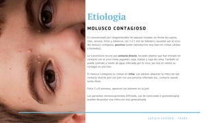 L E T I C I A F E I T O Z A - 2 0 4 8 9
Etiologia
M O L U S C O C O N T A G I O S O
Es caracterizado por conglomerados de pápulas rosadas, en forma de cupula,
lisas, serosas, firme y indoloras con 2 a 5 mm de diâmetro causadas por el vírus
del molusco contagioso, poxvírus (suele reproducirse muy bien en climas cálidos
y húmedos).
La transmision ocurre por contacto directo, tocando objetos que han entrado en
contacto con el virus como juguetes, ropa, toallas y ropa de cama. También se
puede contraer a través de agua infectada por el virus, por eso es común su
contagio en piscinas.
El molusco contagioso es comun en niños. Los adultos adquiren la infeccion por
contacto directo piel con piel con una persona infectada (ex., contacto sexual,
lucha libre).
Entre 2 y 8 semanas, aparecen las lesiones en la piel.
Los pacientes imunossuprimidos (HIV/aids, uso de corticoides o quimioterapia)
pueden desarollar una infeccion mas generalizada.
 