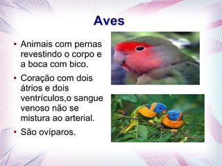 Aves
●   Animais com pernas
    revestindo o corpo e
    a boca com bico.
●   Coração com dois
    átrios e dois
    ventrículos,o sangue
    venoso não se
    mistura ao arterial.
●   São ovíparos.
 