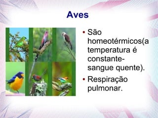 Aves
  ● São
    homeotérmicos(a
    temperatura é
    constante-
    sangue quente).
  ● Respiração

    pulmonar.
 