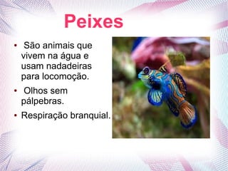 Peixes
●    São animais que
    vivem na água e
    usam nadadeiras
    para locomoção.
●   Olhos sem
    pálpebras.
●   Respiração branquial.
 