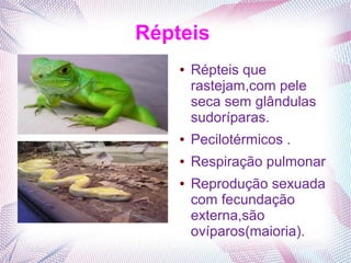 Répteis
    ●   Répteis que
        rastejam,com pele
        seca sem glândulas
        sudoríparas.
    ●   Pecilotérmicos .
    ●   Respiração pulmonar
    ●   Reprodução sexuada
        com fecundação
        externa,são
        ovíparos(maioria).
 