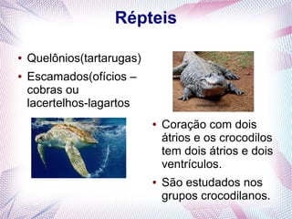 Répteis

●   Quelônios(tartarugas)
●   Escamados(ofícios –
    cobras ou
    lacertelhos-lagartos
                            ●   Coração com dois
                                átrios e os crocodilos
                                tem dois átrios e dois
                                ventrículos.
                            ●   São estudados nos
                                grupos crocodilanos.
 