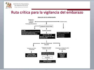 Ruta crítica para la vigilancia del embarazo
 