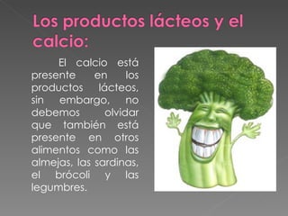 El calcio está presente en los productos lácteos, sin embargo, no debemos olvidar que también está presente en otros alimentos como las almejas, las sardinas, el brócoli y las legumbres. 