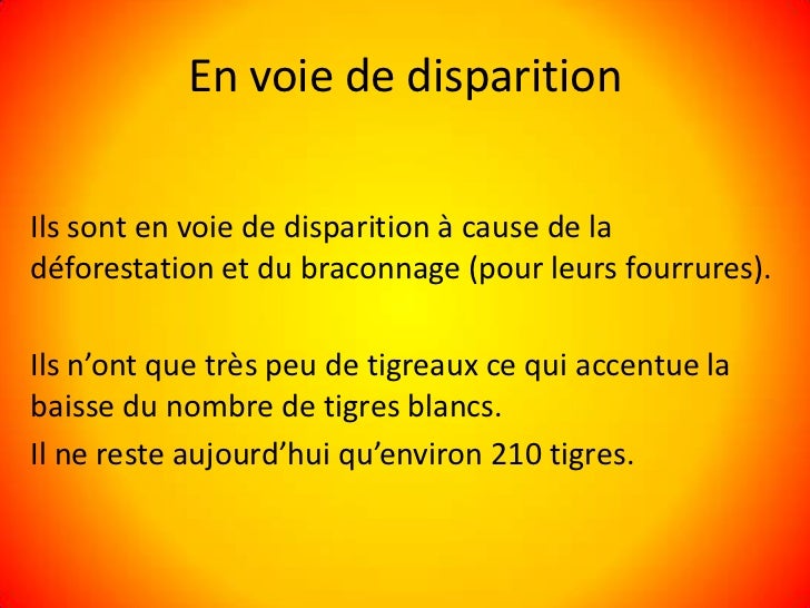 Le Tigre Blanc