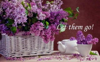 Let them go!
 