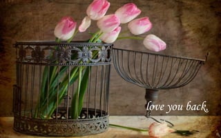 love you back,
 