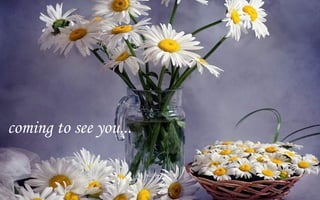 coming to see you...
 