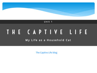 The Captive Life blog 
 