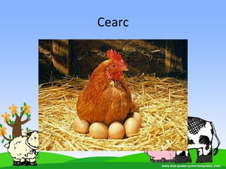 Cearc
 