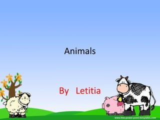Animals
By Letitia
 