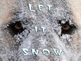 Let it snow. (v.m.)