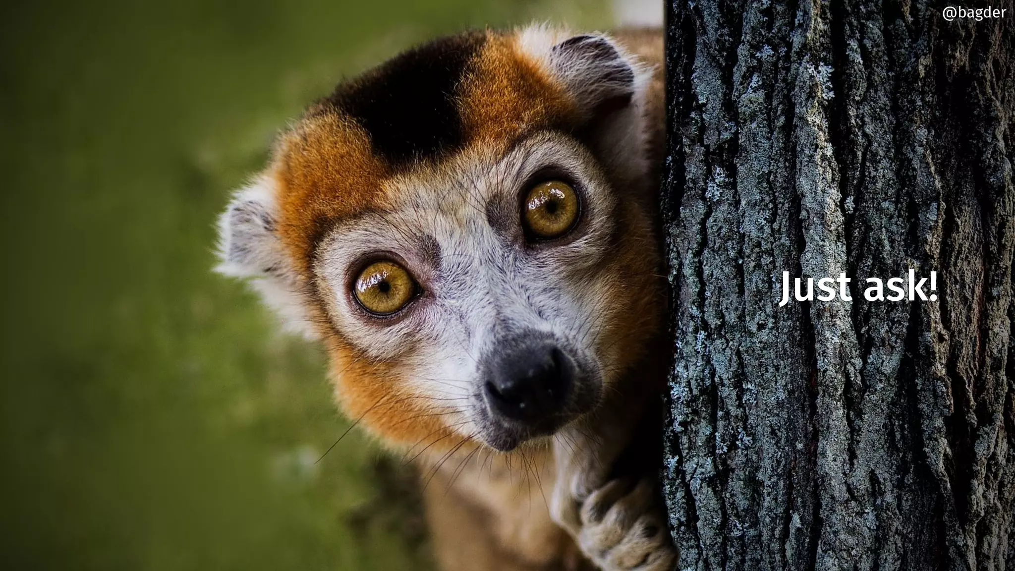 @bagder
Just ask!
@bagder
 