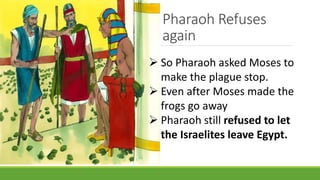 Pharaoh Refuses
again
 So Pharaoh asked Moses to
make the plague stop.
 Even after Moses made the
frogs go away
 Pharaoh still refused to let
the Israelites leave Egypt.
 