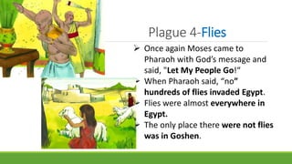 Plague 4-Flies
 Once again Moses came to
Pharaoh with God’s message and
said, "Let My People Go!“
 When Pharaoh said, “no”
hundreds of flies invaded Egypt.
 Flies were almost everywhere in
Egypt.
 The only place there were not flies
was in Goshen.
 