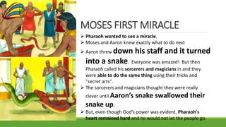 MOSES FIRST MIRACLE
 Pharaoh wanted to see a miracle.
 Moses and Aaron knew exactly what to do next
 Aaron threw down his staff and it turned
into a snake. Everyone was amazed! But then
Pharaoh called his sorcerers and magicians in and they
were able to do the same thing using their tricks and
"secret arts".
 The sorcerers and magicians thought they were really
clever until Aaron’s snake swallowed their
snake up.
 But, even though God’s power was evident, Pharaoh's
heart remained hard and he would not let the people go.
 