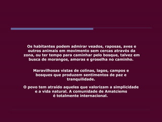 Os habitantes podem admirar veados, raposas, aves e outros animais em movimento sem cercas através da zona, ou ter tempo para caminhar pelo bosque, talvez em busca de morangos, amoras e groselha no caminho.  Maravilhosas vistas de colinas, lagos, campos e bosques que produzem sentimentos de paz e tranquilidade. O povo tem atraído aqueles que valorizam a simplicidade e a vida natural. A comunidade de Amatciems é totalmente internacional.  