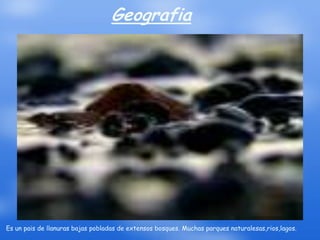 Geografia




Es un pais de llanuras bajas pobladas de extensos bosques. Muchas parques naturalesas,rios,lagos.
 