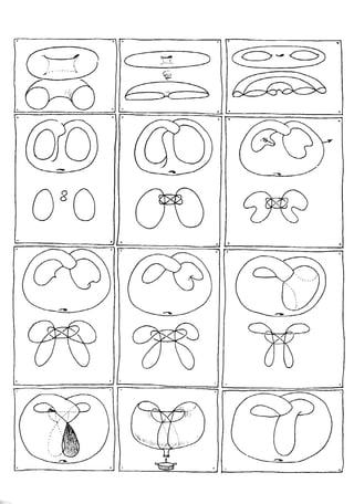 Le topologicon de Jean-Pierre Petit