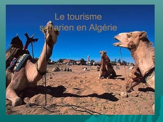 Le tourisme
saharien en Algérie
 