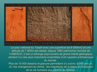 Le parc national du Tassili avec une superficie de 8 000km2 et uneLe parc national du Tassili avec une superficie de 8 000km2 et une
altitude de 1 500m est classé, depuis 1982 patrimoine mondial dealtitude de 1 500m est classé, depuis 1982 patrimoine mondial de
l’UNESCO. C’est un étrange pays lunaire de grand intérêt géologiquel’UNESCO. C’est un étrange pays lunaire de grand intérêt géologique
abritant l’un des plus importants ensembles d’art rupestre préhistoriqueabritant l’un des plus importants ensembles d’art rupestre préhistorique
du monde .du monde .
Plus de 15 000 dessins et gravure permettant d’y suivre, 6 000 ans av,Plus de 15 000 dessins et gravure permettant d’y suivre, 6 000 ans av,
JC; les changement du climat , les migrations de la faune et l’évolutionJC; les changement du climat , les migrations de la faune et l’évolution
de la vie humaine aux confins du Sahara.de la vie humaine aux confins du Sahara.
 