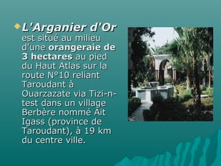 L'Arganier d'OrL'Arganier d'Or
est situé au milieuest situé au milieu
d'uned'une orangeraie deorangeraie de
3 hectares3 hectares au piedau pied
du Haut Atlas sur ladu Haut Atlas sur la
route N°10 reliantroute N°10 reliant
Taroudant àTaroudant à
Ouarzazate via Tizi-n-Ouarzazate via Tizi-n-
test dans un villagetest dans un village
Berbère nommé AitBerbère nommé Ait
Igass (province deIgass (province de
Taroudant), à 19 kmTaroudant), à 19 km
du centre ville.du centre ville.
 