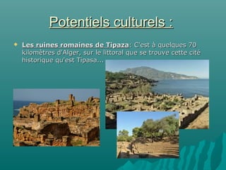Potentiels culturels :Potentiels culturels :
 Les ruines romaines de TipazaLes ruines romaines de Tipaza: C'est à quelques 70: C'est à quelques 70
kilomètres d'Alger, sur le littoral que se trouve cette citékilomètres d'Alger, sur le littoral que se trouve cette cité
historique qu'est Tipasa...historique qu'est Tipasa...
 