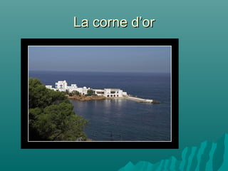 La corne d’orLa corne d’or
 