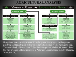 Hemp has a short growing season...it can be grown in any state...the long roots
penetrate and break the soil to leave it in perfect condition for the next year's crop.
The dense shock of leaves, 8 to 12 feet above the ground, chokes out weeds....hemp,
this new crop can add immeasurably to American agriculture and industry (Yurchey,
2010, para. 36).
 
