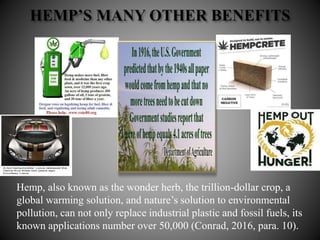 Hemp, also known as the wonder herb, the trillion-dollar crop, a
global warming solution, and nature’s solution to environmental
pollution, can not only replace industrial plastic and fossil fuels, its
known applications number over 50,000 (Conrad, 2016, para. 10).
 