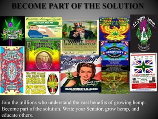 Join the millions who understand the vast benefits of growing hemp.
Become part of the solution. Write your Senator, grow hemp, and
educate others.
 