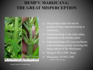  One product that will not be
produced from industrial hemp is
marijuana.
 Industrial hemp is the male plant,
marijuana is the female plant
 Industrial hemp will cross-pollinate
with marijuana greatly lowering the
drug content of the Marijuana.
 Hemp 0.30% (THC drug)
 Marijuana 10-30% THC
(Warren, 2013, No.16)
Image courtesy of Google Images
 