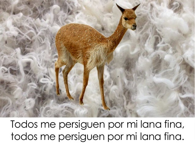 La Vicunita Letra la vicunita letra