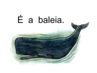 É a baleia.
