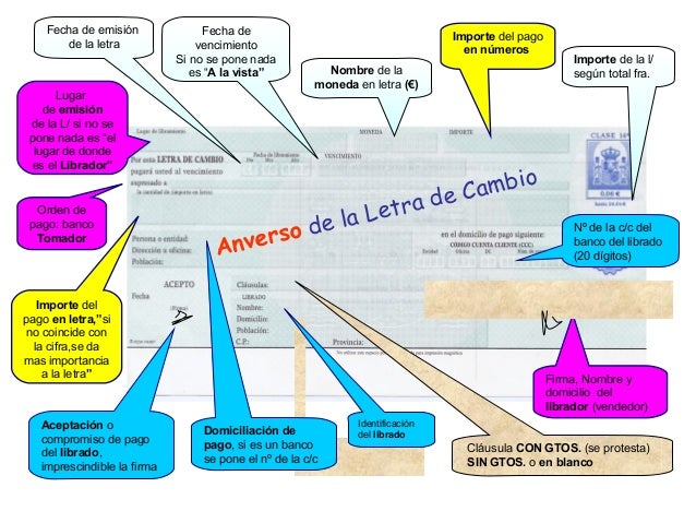 Conclusion De La Letra De Cambio