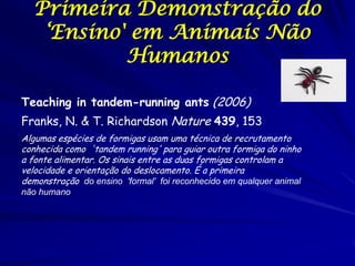 Primeira Demonstração do
   ‘Ensino' em Animais Não
           Humanos

Teaching in tandem-running ants (2006)
Franks, N. & T. Richardson Nature 439, 153
Algumas espécies de formigas usam uma técnica de recrutamento
conhecida como 'tandem running' para guiar outra formiga do ninho
a fonte alimentar. Os sinais entre as duas formigas controlam a
velocidade e orientação do deslocamento. É a primeira
demonstração do ensino 'formal' foi reconhecido em qualquer animal
não humano
 