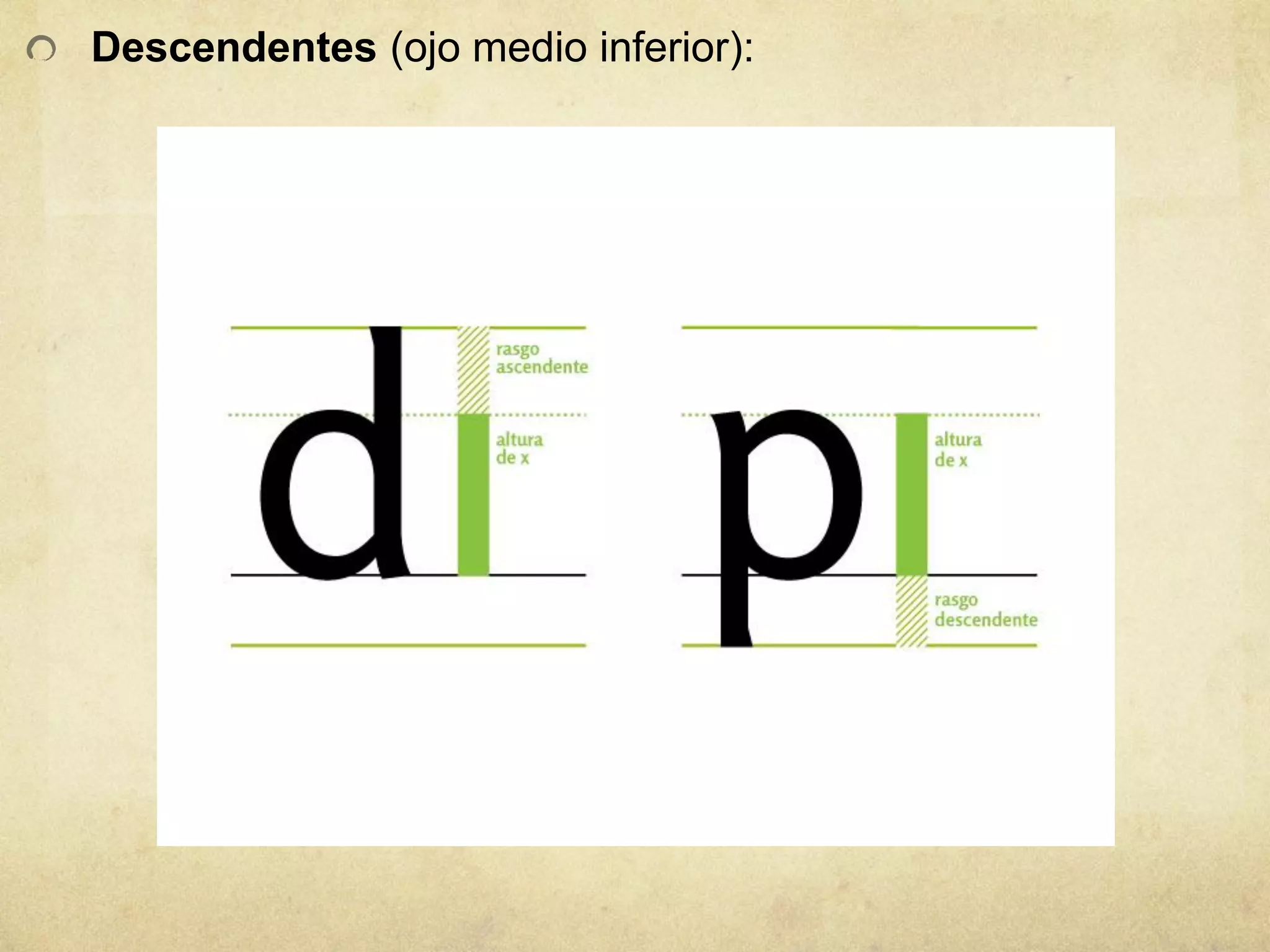 Descendentes (ojo medio inferior):
 