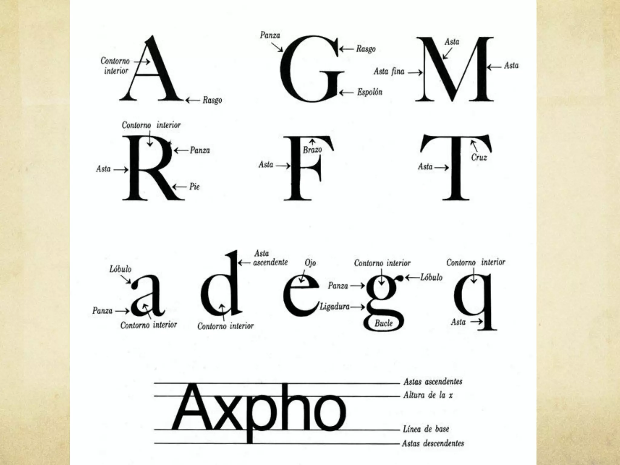 Letra estructura individual y partes que la conforman