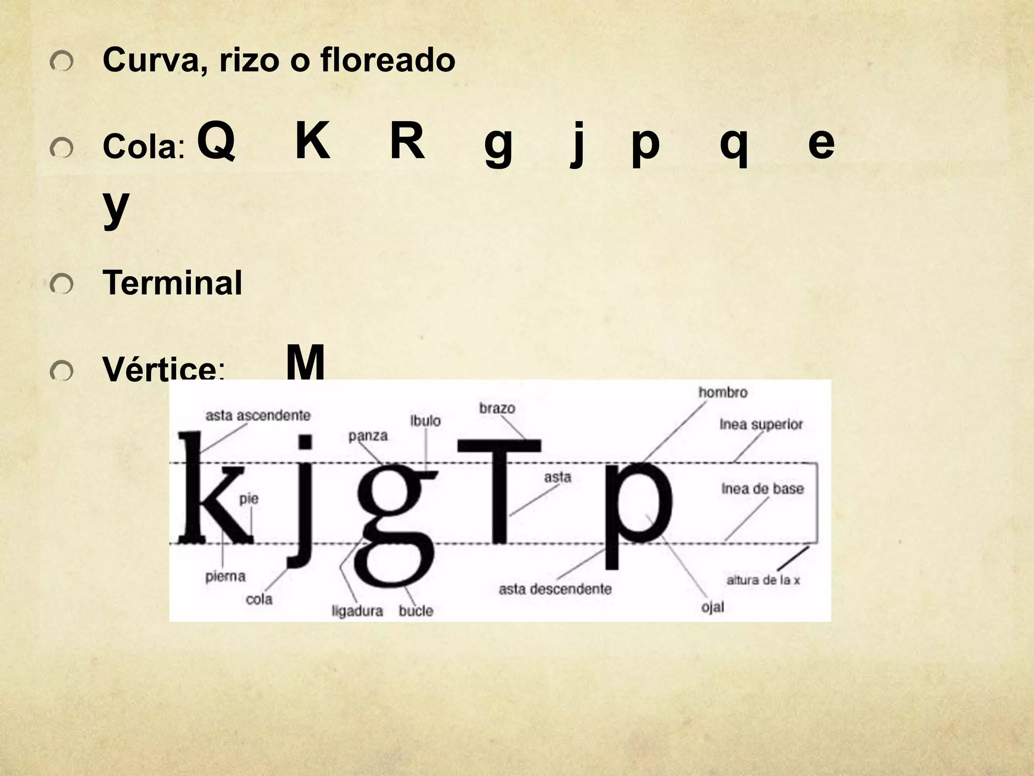 Curva, rizo o floreado

Cola: Q    K     R       g   j p   q   e
y
Terminal

Vértice:   M
 