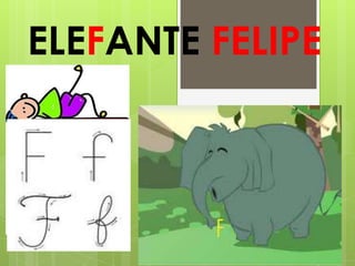 ELEFANTE FELIPE
 