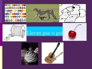 Llevan gue o gui
 