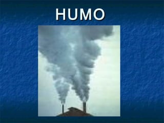 HUMOHUMO
 