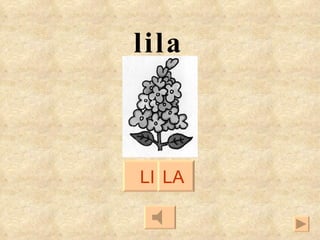 LI LA lila 