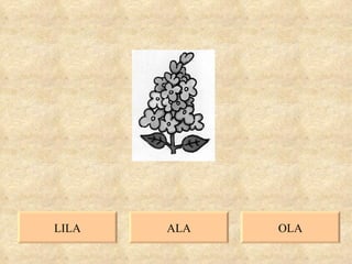LILA ALA OLA 