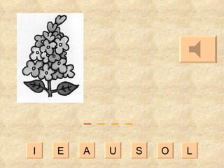 I E A U S O L _   _  _  _ 