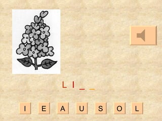 I E A U S O L L   I   _   _ 